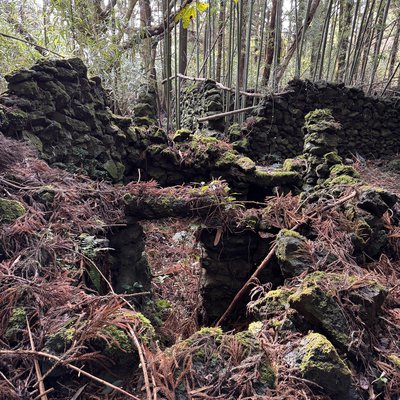 빼앗긴 마을 종남밭