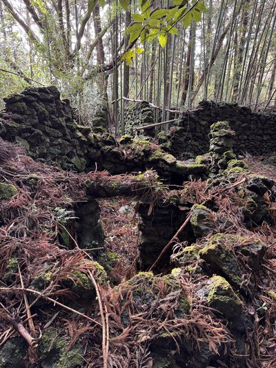 종남마을 집터(2026.3.5. 촬영)