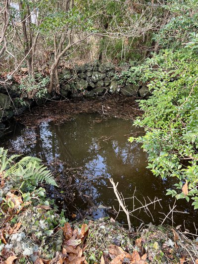 종남마을 물통(2026.3.5. 촬영)