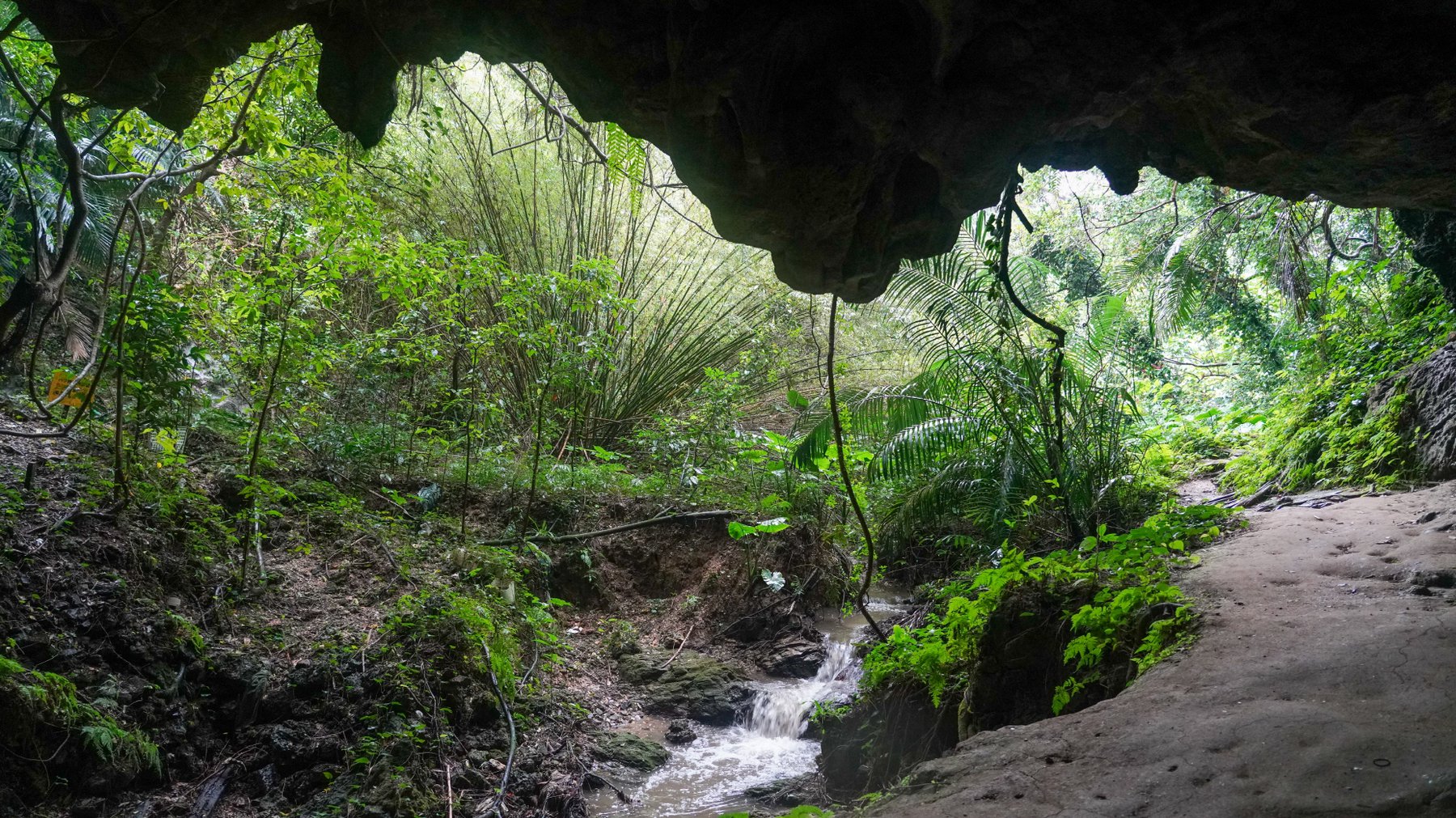 시무쿠 동굴
