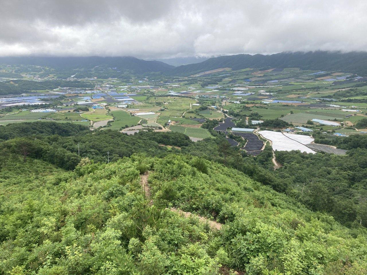 강원도 양구 DMZ펀치볼 둘레길에 있는 '부부 소나무 전망대' 위에서 바라본 전경. 여러 산들이 분지를 형성해 있고 가운데에는 민가가 있습니다.