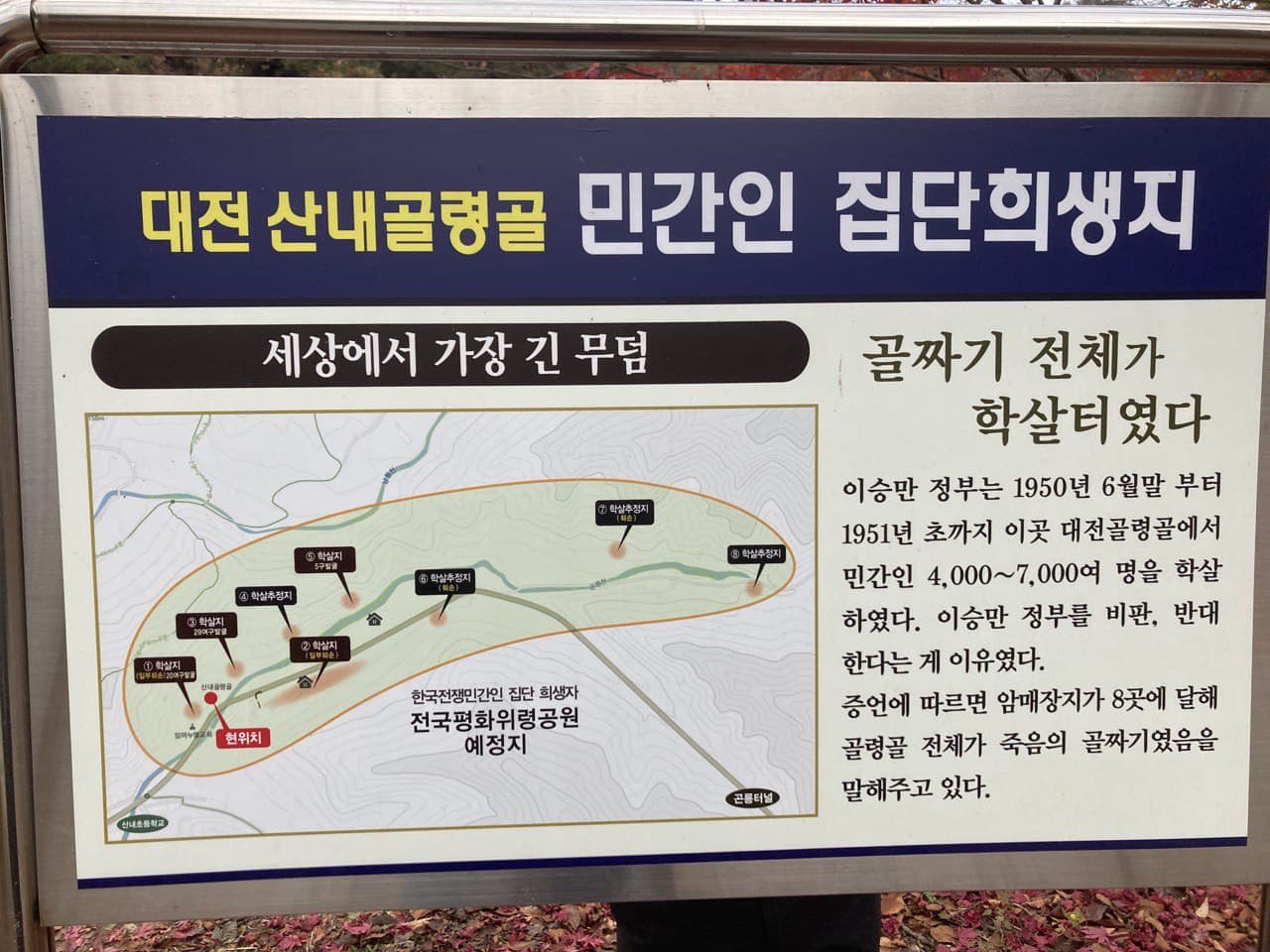 대전 골령골 한국전쟁 민간인 집단학살 피해자 유해발굴 현장.